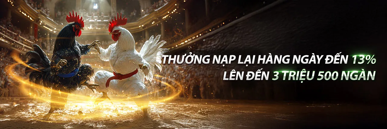 Đá Gà Ngày 22 Tháng 8 - Trải Nghiệm Cá Cược Đỉnh Cao